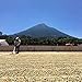 Costa Rica Palmichal Tarrazu (3 LB) Green Unroasted Coffee Beans, 100% Arabica Beans, Direct Trade