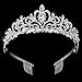 2 Pack Tiara for Girls Tiara Princess Crown Girls Rhinestones Crystal Wedding Bridal Crown Tiara 2 Pack with Comb Women Princess Crown Headband (Style 1)