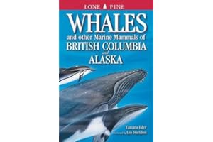 Whales and Other Marine Mammals of British Columbia and Alaska