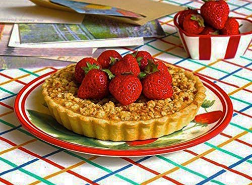 Removable Loose Bottom Quiche Pan, Non-stick Tart Pie Pan, Round Bakeware 8.5-Inches