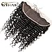 QTHAIR 12A Ear To Ear 13x4 Deep Wave Frontal Closure Brazilian Hair(14