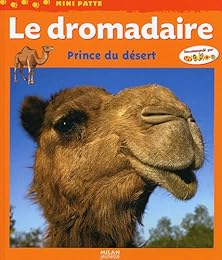 Le  dromadaire