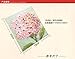 Cozy Hut Ribbon Embroidery Kit Handmade Flower Design for Beginner DIY Wall Decor Pink (No Frame)