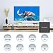 Android 7.1 TV Box,NEXSMART 4K TV Box Amlogic S905W Quad-Core, 1GB RAM & 8GB ROM,Support 4K Ultra HD 2.4GHz WiFi 100M Ethernet HDMI 2.0 Smart Media Player Box