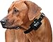 Ortz Waterproof Rechargeable Bark Collar for Small, Medium & Large Dogs - Black