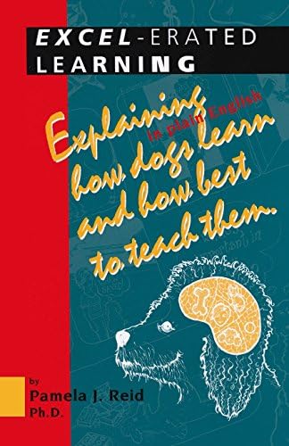 Amazon.com: Bilingual Education in the 21st Century: A Global