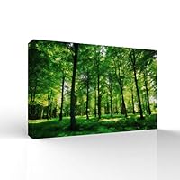 signwin-Canvas Wall Art-Sunshine in The Forest -Canvas Prints Home Artwork Decoration for Living Room,Bedroom - 12x18 inches