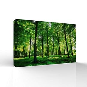 Canvas Wall Art-Sunshine in The Forest -Canvas Prints Home Artwork Decoration for Living Room,Bedroom - 12x18 inches