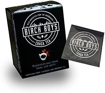 Chaga Tea Bags (16 Count) - Sustainably Harvested Chaga Mushroom