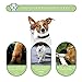 Petacc Dog Boots Water Resistant Dog Shoes for Large Dogs and Black Labrador 4 Pcs Size 7, Black