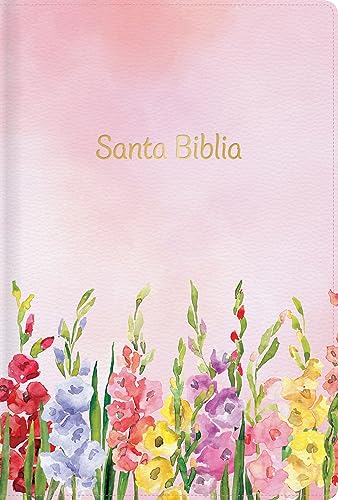 RVR 1960 Biblia letra grande tamaño manual edición especial, fucsia símil piel: Santa Biblia (Spanish Edition)