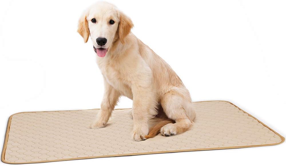 2 Pack Dog Pee Pad Reusable Pet Dog Diaper Pad Urine Potty Training Pads 4 Layers Design Anti-Skid Bottom/Fast Absorb/Deodorant Dog for Indoor Outdoor Car Travel Machine Washable