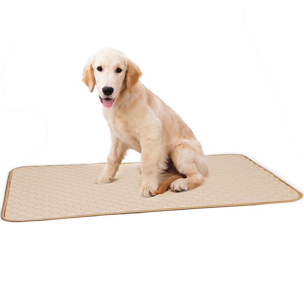 2 Pack Dog Pee Pad Reusable Pet Dog Diaper Pad Urine Potty Training Pads 4 Layers Design Anti-Skid Bottom/Fast Absorb/Deodorant Dog for Indoor Outdoor Car Travel Machine Washable — image 1