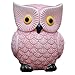 ZCHING Cute Owl Ceramic Piggy Bank Personalized Money Saving Bank for Kids Girls Nursery Gift Decor