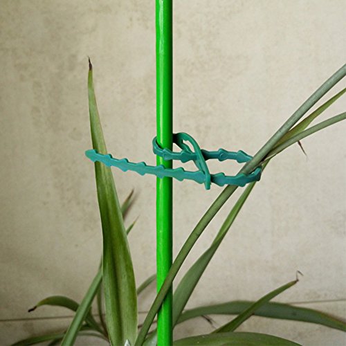 Exttlliy Plastic Reusable Adjustable Garden Plant Twist Tie Gardening Flexible Vines Tie for Garden Home Use Green (10Pcs)
