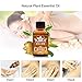 6 Pack Belly Drainage Ginger Oil,Natural Ginger Oil Lymphatic Drainage Massage,Ginger Essential Oil Plant Aroma Oil
