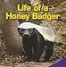 Life of a Honey Badger (Infomax Common Core Readers, 31)