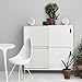 B&O PLAY by Bang & Olufsen 1625325 Beoplay S3 Home Bluetooth Speaker, White