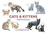 Cats & Kittens: A Memory Game by 