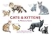 Cats & Kittens: A Memory Game by 