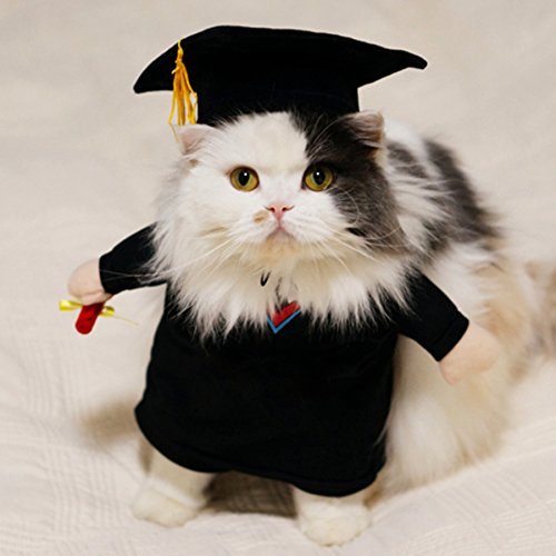 Alfie Pet by Petoga Couture - Kade the Graduate for Party Halloween Special Events Costume - Image 9