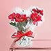 Cellophane Bags Mylar Sheet Great Wrapping Paper for Craft Basket 10 Pack (12