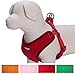 Blueberry Pet 4 Colors Better Basic Dog Harness Vest, Rouge Red, Chest Girth 17