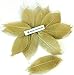 NAVA CHIANGMAI Rubber Tree Leaves - Pack of 100 Skeleton Leaves Decorative DIY Craft , Artificial Leaves Craft Card Scrapbook DIY Handmade Embellishment Decoration Art (Gold)