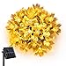 Ankway Solar String Lights 200 LED Fairy Lights