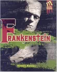 Raiders night by robert lipsyte image