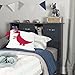 South Shore Ulysses Bookcase Headboard with Doors, Twin, Blueberry