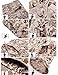 ZLSLZ Men's Military Tactical Casual Camouflage Multi-Pocket Cargo Pants Trousers (XXL/W38, Desert Camo)