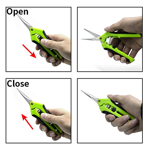 2 Pack Curved Tip Trimming Scissors with Titanium Coated Blades, Gardening Hand Pruner Pruning Shear by HiHydro - Thumbnail 3