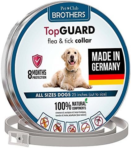Pet Club Brothers Dog collar