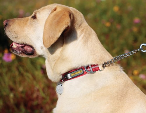 ruffwear chain reaction collar