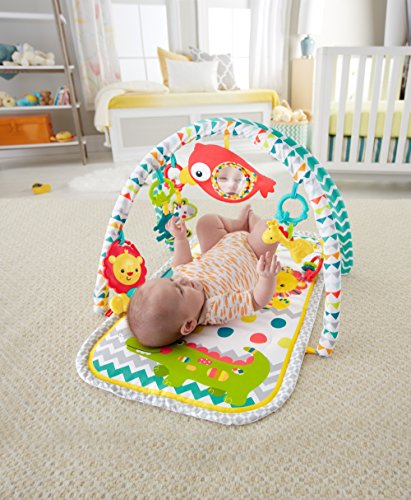 fisher price 3 in 1 activity gym
