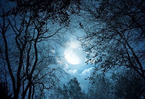 Renaiss 10x8ft Halloween Forest Backdrop Night Sky Moon Moonlight Tree Photography Background Horror Party Decor Kids Adults Portrait shooting Studio Props vinyl