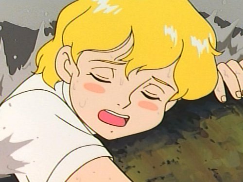 Amazon Co Jp 大草原の小さな天使 ブッシュベイビーを観る Prime Video