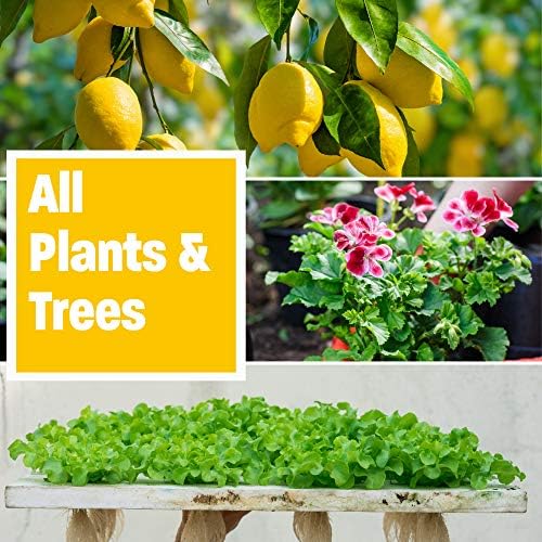 Humboldts Secret Golden tree- Suplemento acelerador crecimiento de ...
