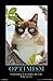 Trends International Grumpy Cat - The Brighter Side Wall Poster, 22.375