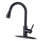 WEWE Kitchen faucets with Pull Down