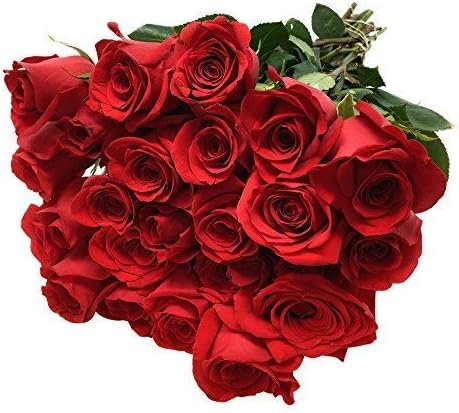 24-Stem Roses