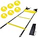 Agility Ladder Bundle with 6 Sports Cones, a Set of 12 Adjustable Rungs Durable Training Ladders for Soccer, Speed, Football