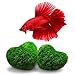 SunGrow 2 Betta Heart Marimos – Beautiful & Rare Aquatic Plants – Pair of 0.6″ Heart-Shaped Moss Balls – Low Maintenance Good Luck Charms for Betta Fish Tanks – Creative Addition to DIY Home Decorthumb 1