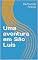 Livro Uma aventura em São Luís