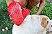 Pet Epic Pet Grooming Glove Brush - Pet Hair Remove and Bathing Mitt for Dogs, Cats and Horses – Clean and Massage at Once