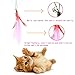 Retractable Wand , Multi Feather Teaser and Exerciser For Your Cat and Kitten - Cat Toys Interactive Cat Wand (8PCS)