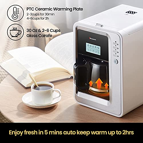 HAUSWIRT K6 Automatic Grind and Brew Coffee Maker, 6 Cup Drip Coffee