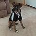 LESYPET Dog Sweater Hoodie for Large Dog, Dog Hoodie Sport Coat, 4XL, Black