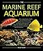 The Marine Reef Aquarium by 